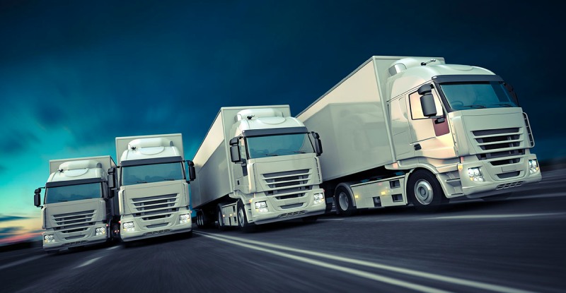 Manage Your Fleet Using Fleet Management Software