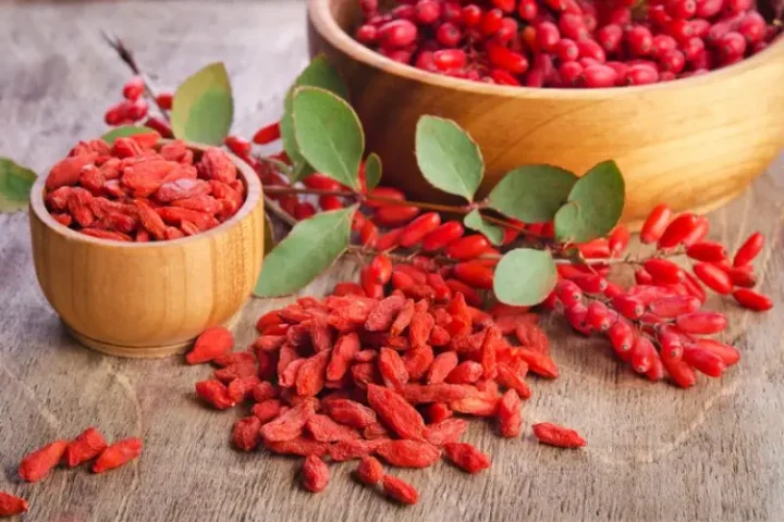 Berberine benefits